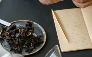 Leia mais sobre o artigo Como Criar o Seu Próprio Perfume Caseiro com Óleos Essenciais